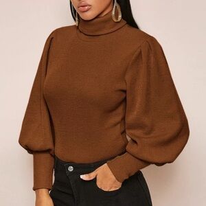 SHEIN Brown Sweater